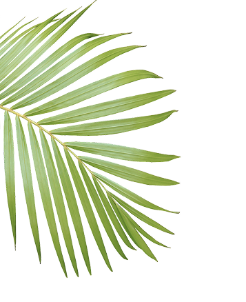 alt image