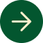 alt icon
